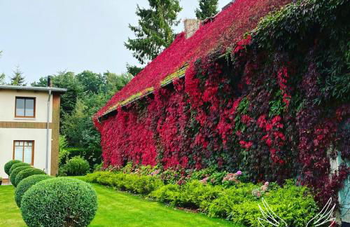 ZEITFREI Urlaubsappartememts & Veranstaltungsort - Foto 18