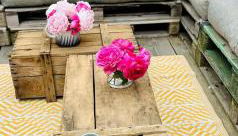 Gîte Brin de Nature au cœur de la nature bugiste - Foto 4