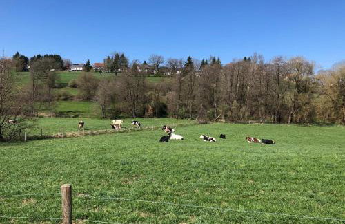 Eifelwolke - Foto 27