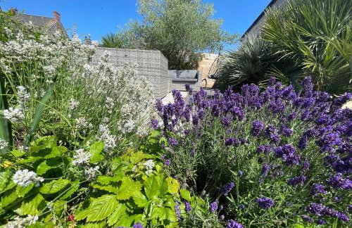Gîte Les Eaux du Moulin piscine chauffée et jacuzzi - Foto 28