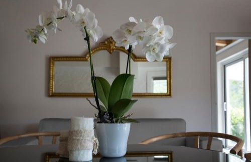 Orchidea - Foto 35