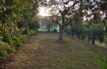 casa villa degli ulivi - Foto 22