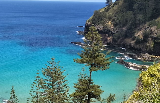 Cascade Garden Apartments - Foto 30