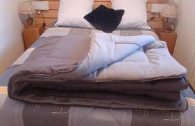 Appar T2 3 lits vue montagne terrasse vielle aure - Foto 5