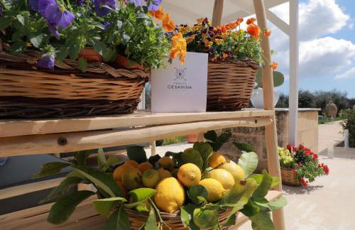 Tenuta Cesarina - Foto 18