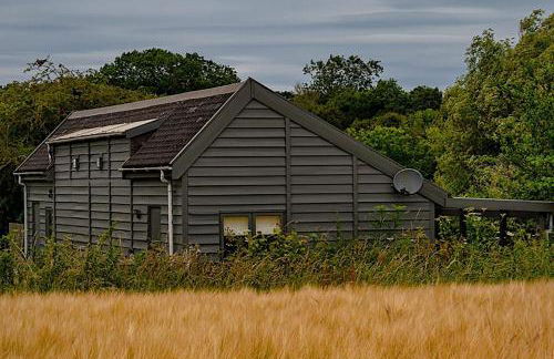 The Artist's Studio - Foto 12