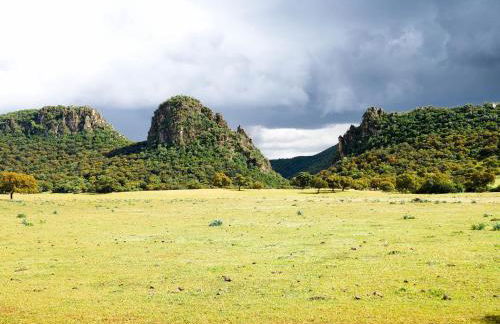 Casa Rural COMPLETA Finca Los Conventos en Adamuz; Córdoba - Foto 1