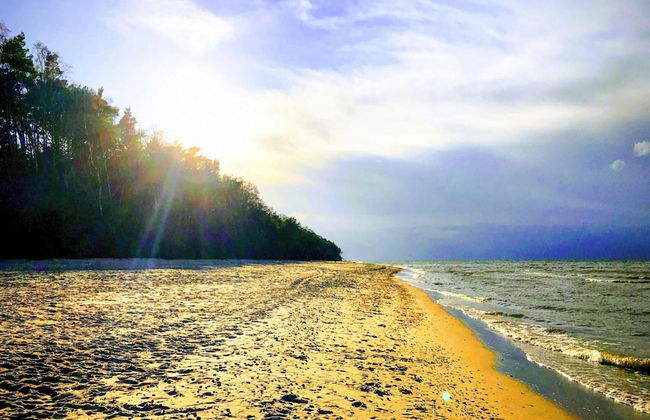 Luxury Appartment in Lukecin 60qm - Photo 28