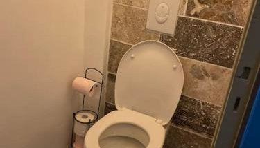Charmant appartement-20 min Lyon-proche Aéroport-Eurexpo - Foto 3