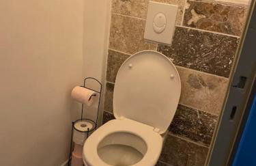 Charmant appartement-20 min Lyon-proche Aéroport-Eurexpo - Foto 3