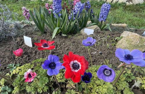 Lieu paisible et indépendant - Foto 22