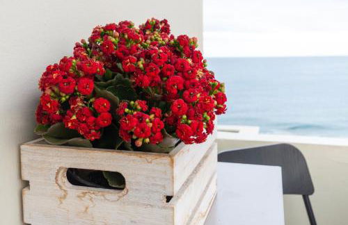 El Refugio de Pilar - Foto 13