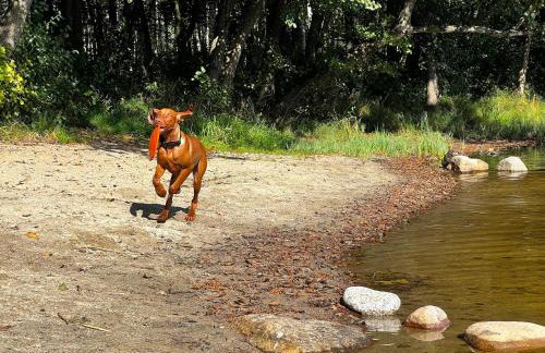 Kaszuby Camp - Foto 34