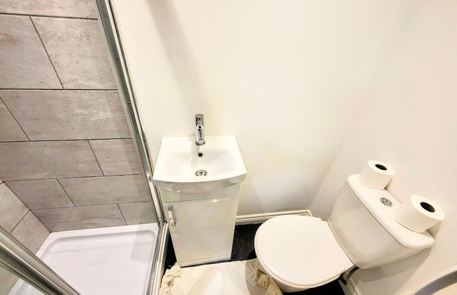 Large Modern House with Parking - Photo 71