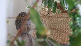 Gästewohnung in Algermissen - Foto 2