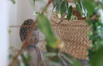 Gästewohnung in Algermissen - Foto 2