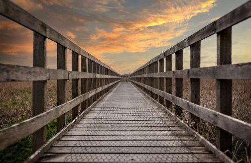 RoyalRelax Apartament w Lesie z Jacuzzi, Kinem domowym 88' - Białystok - Foto 62