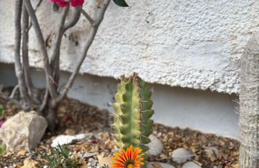 CASITA en Urb Júpiter con vistas al mar y montaña CasaTuris C107 - Photo 12