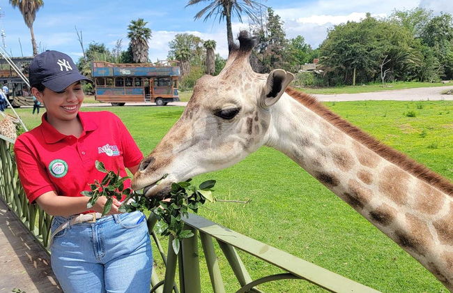 Excursion au parc zoologique Africam Safari - Photo 3