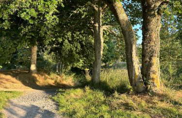 Villa du lac Naussac accès direct à la plage - Foto 23