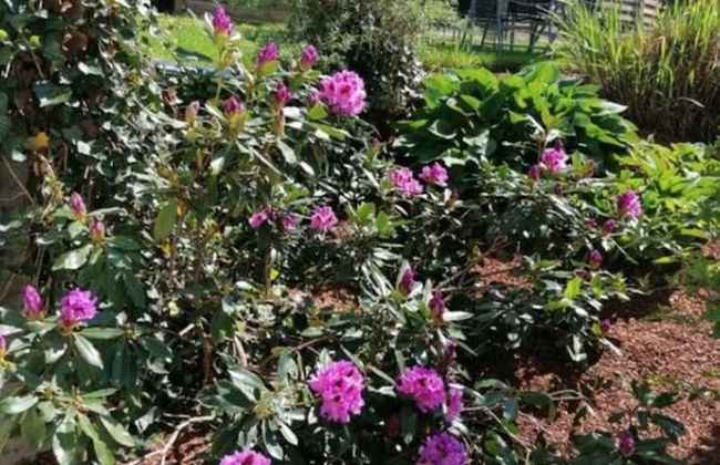 Hittenpichl "st. Christoph" - Foto 37