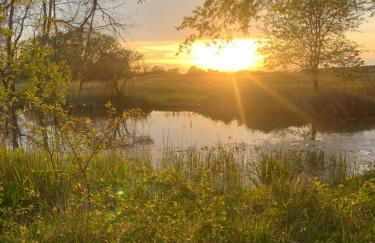 SPREEHOF Göbeln - Foto 17