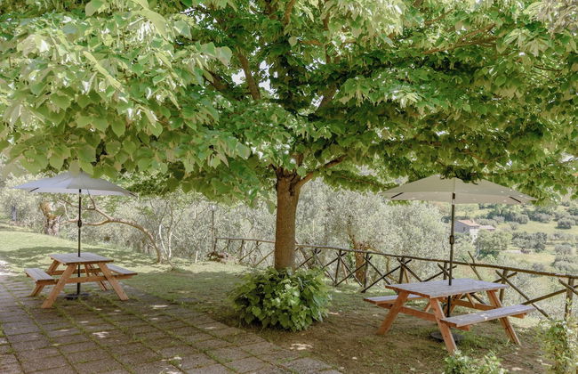 Il Mulino delle Canutole - Foto 49