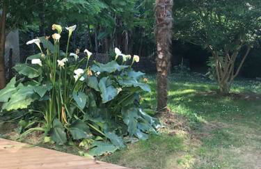 Maison du Saleys - Foto 6