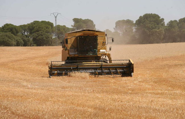 Albufera Natural Park Boat Ride - Photo 4