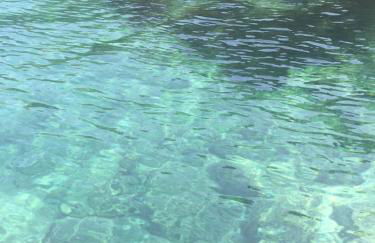 Punta Ala - Tra mare e natura - Foto 38