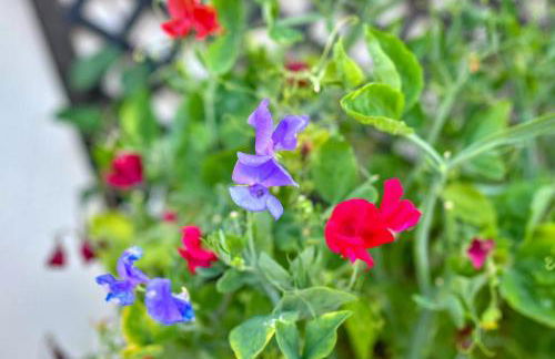 2 Bed in Llannor oc-cysgul - Photo 37