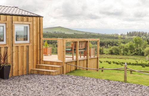 Caban Cwtch The Cosy Cabin - Foto 28