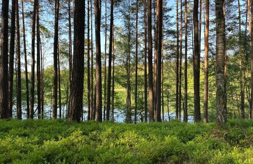 Apartament Jeziorna - Foto 19