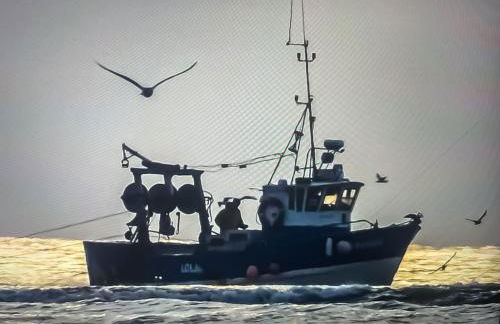 Ste Cécile Plage - Foto 36