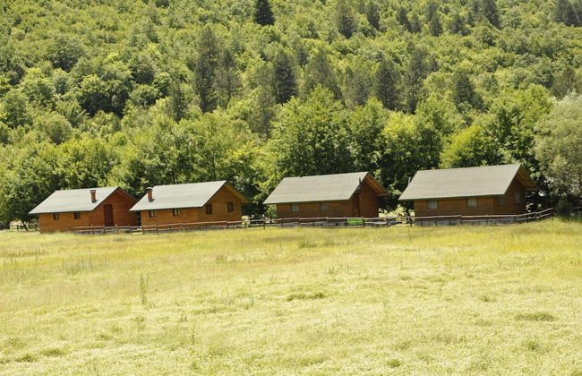 Farma Sotira - Foto 49