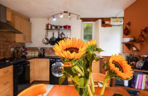 Delfryn, Goginan - Foto 13