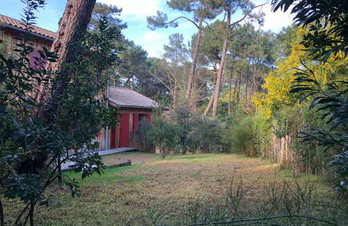 Maison bois 10 pers CapFerret Plage des Américains - Foto 27