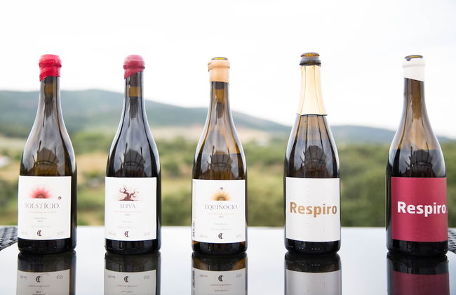 Cabeças do Reguengo - Photo 39