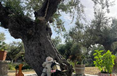 Rock house - Foto 14