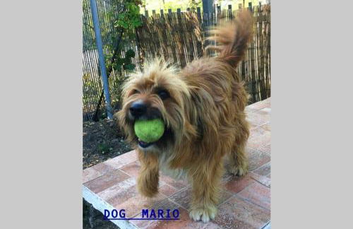 La Fabbrichina - Foto 40