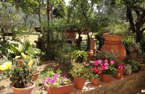 Agriturismo IL VIAIO - Foto 86