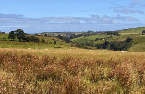 Romantic Glamping Pod for 2 with Private Hot Tub Ballycastle North Coast Retreat Pod 3 - Foto 70