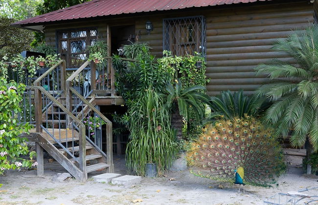 Quinta Pavo Real by Acomodo - Foto 56