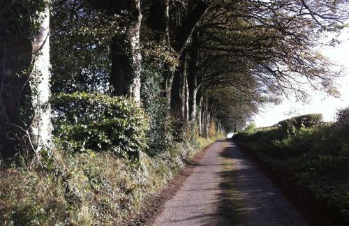 Novelist Shepherd's hut - Foto 24
