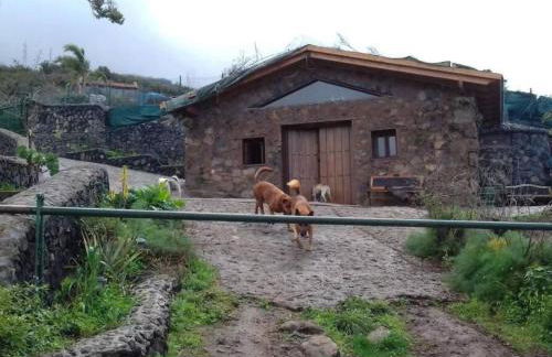 Holiday Home Finca Sunny Scape Rural by Interhome - Foto 37