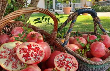 Agriturismo Relais Maddalene101 - Photo 94