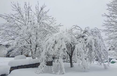 Ferienhaus Tonihof - Foto 50