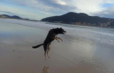 apartamento céntrico zona Marques de comillas 8 - Foto 41