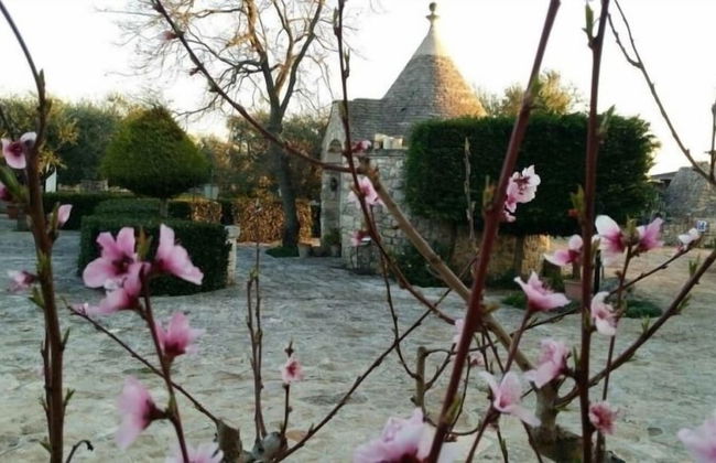 Agriturismo Regno di Marzagaglia - Foto 53