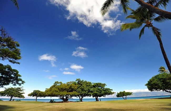 Wonderful Honokowai Beach Condos - Photo 28
